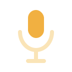 Transcription-only API